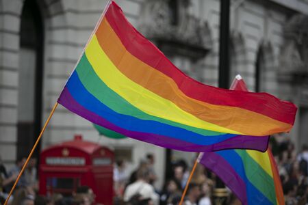 People wave LGBTQ gay pride rainbow flags at a pride event