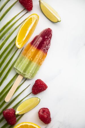 Summer ice lollies with fruit and a tropical palm leafの写真素材