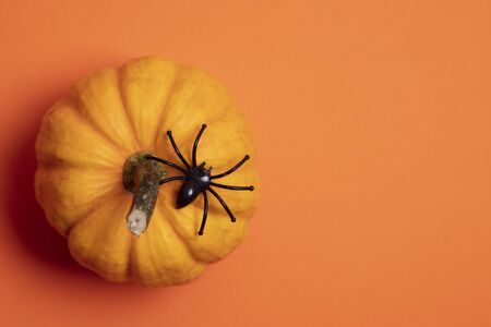 Orange halloween background with pumpkins and spidersの写真素材