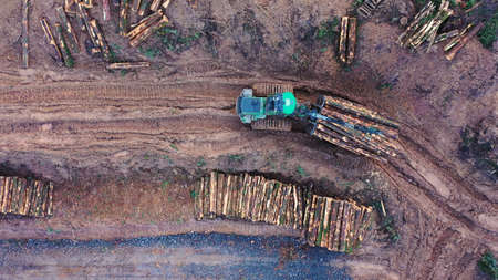 Lumber being transported along a muddy track by heavy machinery. Aerial view