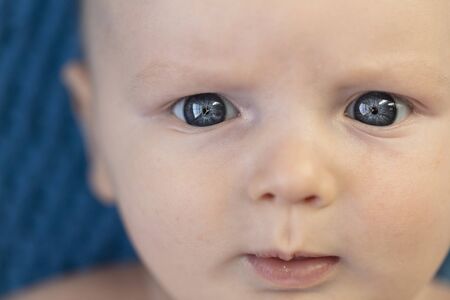 Close up of a blue eye of a 3 month old baby boyの写真素材