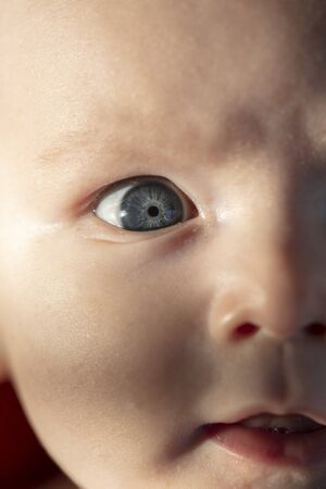 Close up of a blue eye of a 3 month old baby boyの写真素材