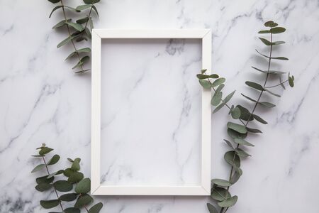 Blank white frame with eucalyptus leaves lay flat compositionの写真素材
