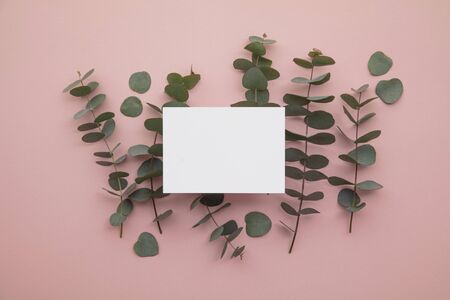 Blank white invitation stationery card with eucalyptus leaves.の写真素材
