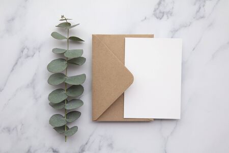 Blank white card and envelope with eucalyptus leaves. Blank invitation.の写真素材