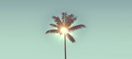 Tropical palm tree silhouette against bright sunlight. 3d renderingの写真素材