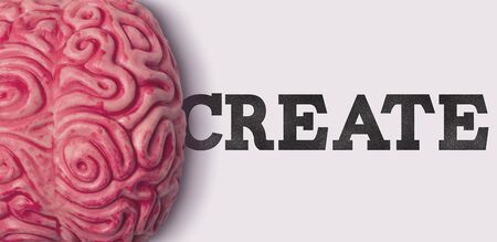 create word next to a human brain model