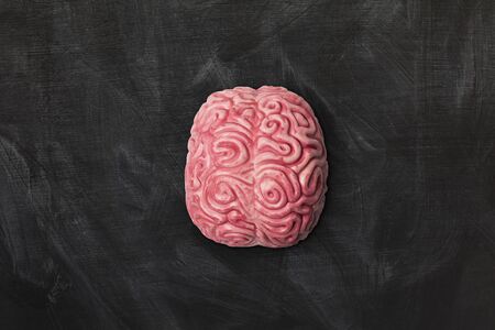 human brain on a blackboard background with copy spaceの写真素材