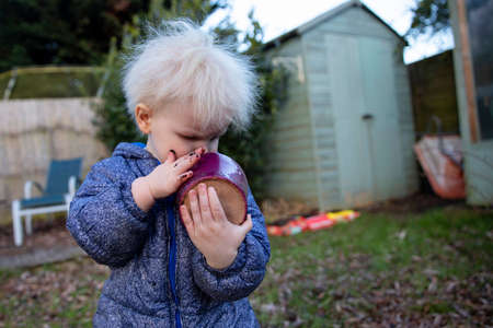 Cute young toddler boy playing in the garden with a flower potの写真素材