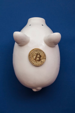 Saving piggy bank with bitcoin cryptocurrency coinsの写真素材