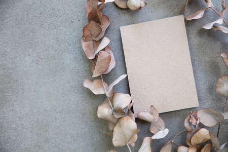 Blank kraft brown invitation stationery card with dried eucalyptus leavesの写真素材