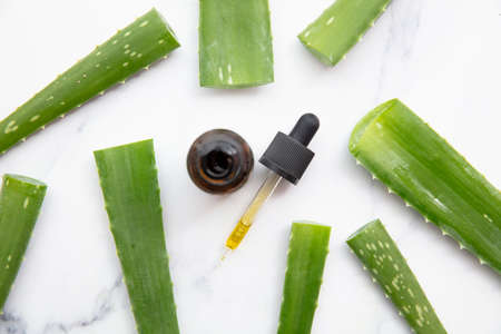 Natural aloe vera plant leaves with a cosmetic dropper bottle