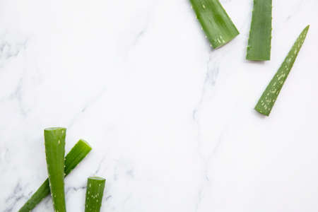 Natural green aloe vera stem health and well being backgroundの写真素材
