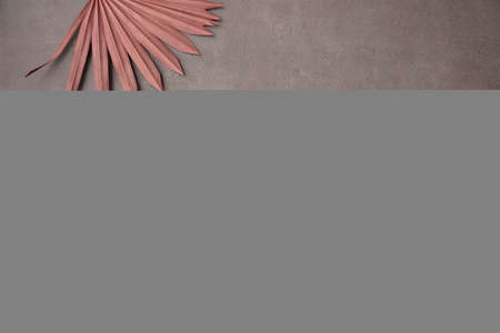 Dried pink tropical palm tree leaf boho style fashionable decoration on a concrete backgroundの写真素材