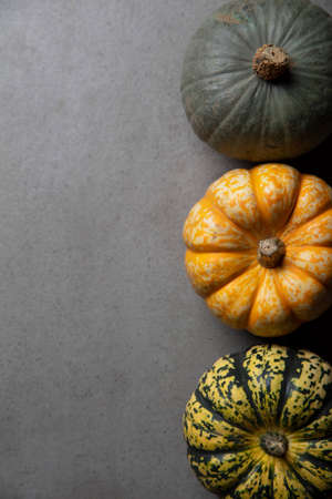 A variety of different autumnal pumpkins and gourds on a dark concrete backgroundの写真素材