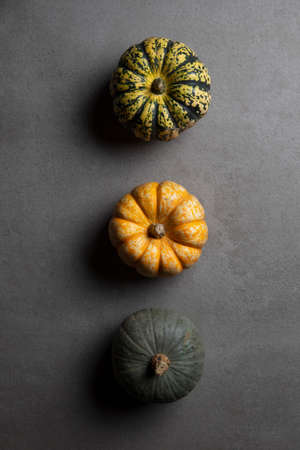A variety of different autumnal pumpkins and gourds on a dark concrete background