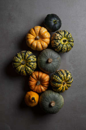 A variety of different autumnal pumpkins and gourds on a dark concrete backgroundの写真素材