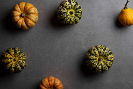 A variety of different autumnal pumpkins and gourds on a dark concrete backgroundの写真素材