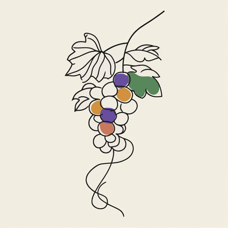 Simple line drawing illustration of a bunch of grapes on a vineの素材