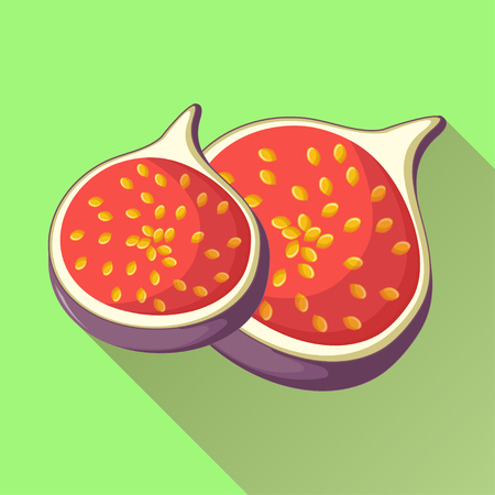 Figs fruit icon with long shadow.のイラスト素材
