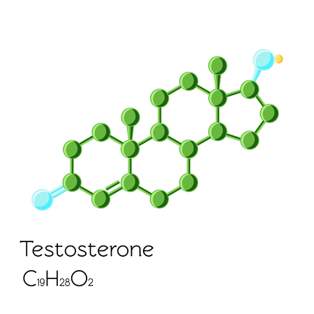 Structural formula of hormone testosterone isolated on white background. Cartoon style vector illustration.のイラスト素材