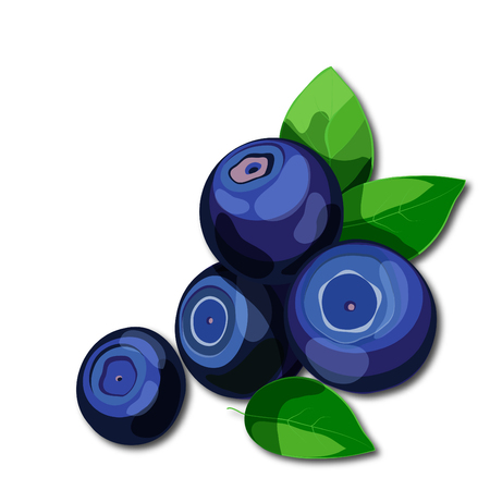 Fresh juicy blueberries with green leaves isolated on white background. Healthy vitamins rich food. Cartoon style vector illustration.のイラスト素材