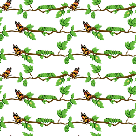 Life cycle of butterfly, metamorphosis seamless pattern.のイラスト素材