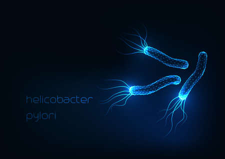 Futuristic glowing low polygonal helicobacter pylori bacteria cells isolated on dark blue background. Gastritis disease. Modern wire frame mesh design vector illustration.のイラスト素材