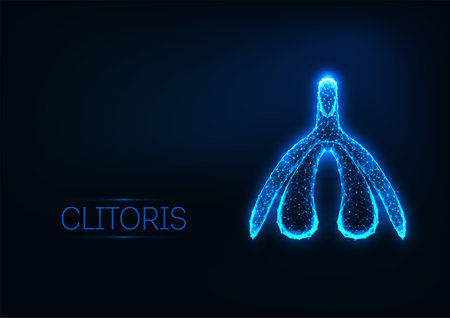 Futuristic glowing low polygonal female organ clitoris isolated on dark blueのイラスト素材