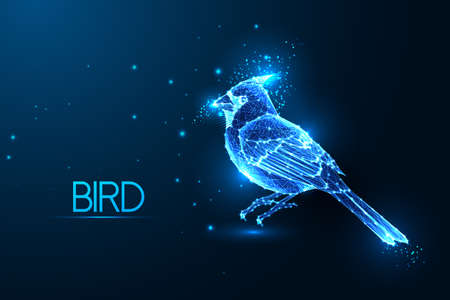 Abstract glowing Cardinal bird made of lines and stars isolated on dark blueのイラスト素材