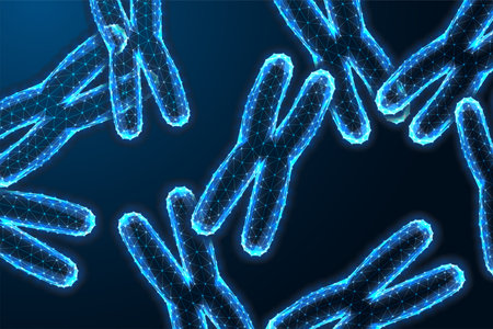 X Chromosomes under microscope on dark blue backgound in futuristic glowing low polygonal styleのイラスト素材