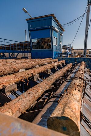 Round timber logs preparation sorting processing at sawmill. Wheel loader and automatic sorting logs diameter at the sawmill. Lumber industry.の写真素材