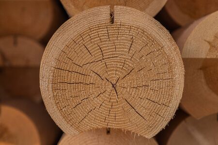 Round timber logs for building wooden house. Removing bark from logs using a machine. Pattern of logs. Woodworking factory. Lumber Industry. Deforestation for Industrial production.の写真素材