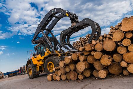 Loading equipment for logging. Log loader for timber, logs. Log loader moves stack of pine logs....