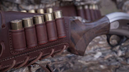 Hands of Hunter inserts cartridges into bandoleer on gun butt. Man in comfortable camouflage clothes...