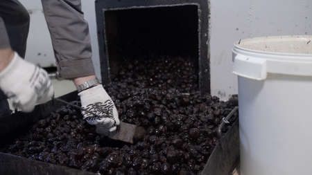 Worker cleaning tanks for alcoholic beverages from prunes at distillery. Male hands in white gloves...