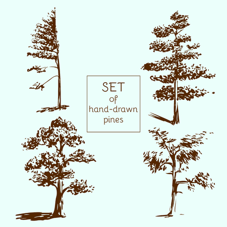 Set of hand-drawn pines. Sketch design.のイラスト素材