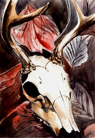 Watercolor illustration of the animal skull on the autumn leavesの写真素材