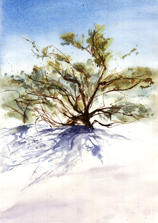 Watercolor illustration of tree in desertの写真素材