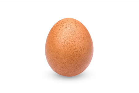 Single brown chicken egg isolated on white background