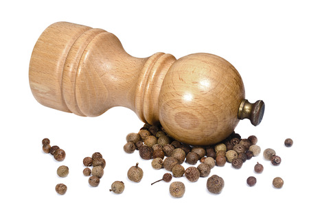 Pepper ginder and grains of allspiceの写真素材