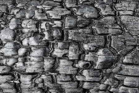 Texture of the charred wood close up background. Backgrounds and texturesの写真素材