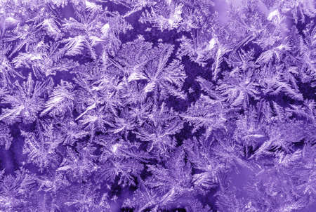 Winter iced pattern with snowflakes of pantone color. Natural backgrounds and textures