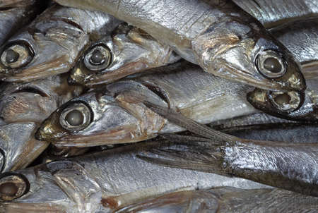 Small salt fish close up. sea foodの写真素材