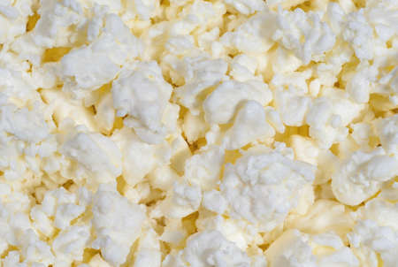 cottage cheese close up. Dairy productsの写真素材