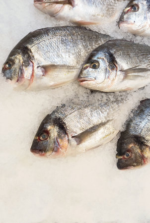 Fresh fish on crushed ice on a market tray. Fish and seafoodの写真素材