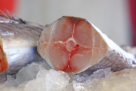 Slice of fish   meat 