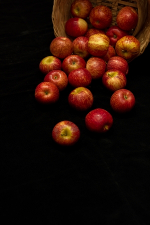 Bushel of Applesの写真素材