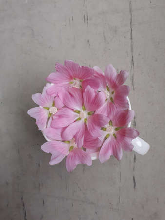Pink flowers in a vase on a gray background, top viewの写真素材