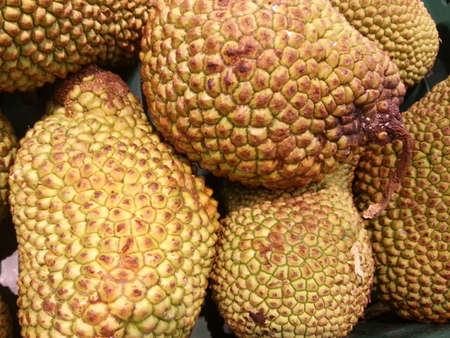 Fresh Jack fruits on background